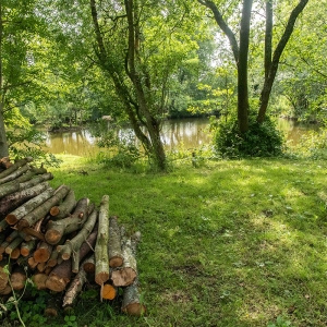 Redwell   17 06 2020   D500   Les 415.jpg